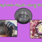 White Hair Tips: తెల్ల జుట్టు నల్లగా మార్చడానికి హెన్నా అవసరం లేదు.. ఈ రెండు చాలు !