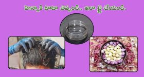 Harsh Goenka Voting Post: వారికి ఎన్నికలు కాదు విలాసాలే ముఖ్యం.. ఓటు వేయని సంపన్నులపై మండిపడిన పారిశ్రామికవేత్త..