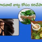 Curry Leaves For Hair: నడుము వరకు పొడవాటి జుట్టు పెరగాలంటే.. కరివేపాకును ఇలా వాడండి