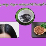 White Hair Remove Tips: మీ తెల్ల జుట్టు నేచురల్‌గా నల్లగా మారాలంటే.. ఈ హెయిర్ కలర్ ట్రై చేయండి