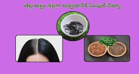 White Hair Remove Tips: మీ తెల్ల జుట్టు నేచురల్‌గా నల్లగా మారాలంటే.. ఈ హెయిర్ కలర్ ట్రై చేయండి