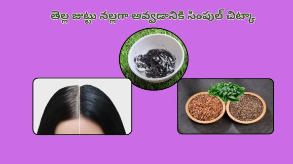 White Hair Remove Tips: మీ తెల్ల జుట్టు నేచురల్‌గా నల్లగా మారాలంటే.. ఈ హెయిర్ కలర్ ట్రై చేయండి