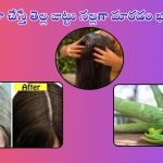 White Hair: తెల్ల జుట్టును శాశ్వతంగా నల్లగా మార్చే బెస్ట్ చిట్కా ఇది..!