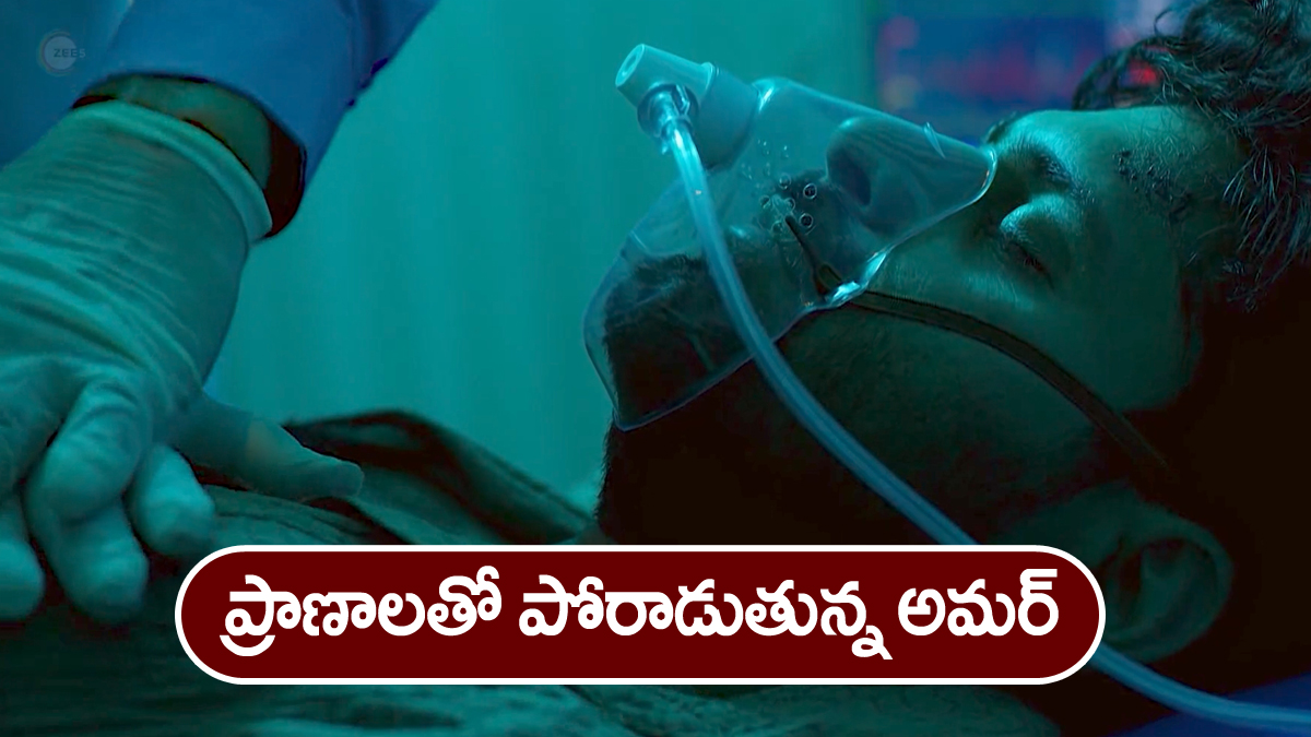 Nindu Noorella Saavasam Serial Today December 13th: ‘నిండు నూరేళ్ల సావాసం’ సీరియల్‌:  ప్రాణాలతో పోరాడుతున్న అమర్‌ – మనోహరిని తిట్టిన అమ్ము