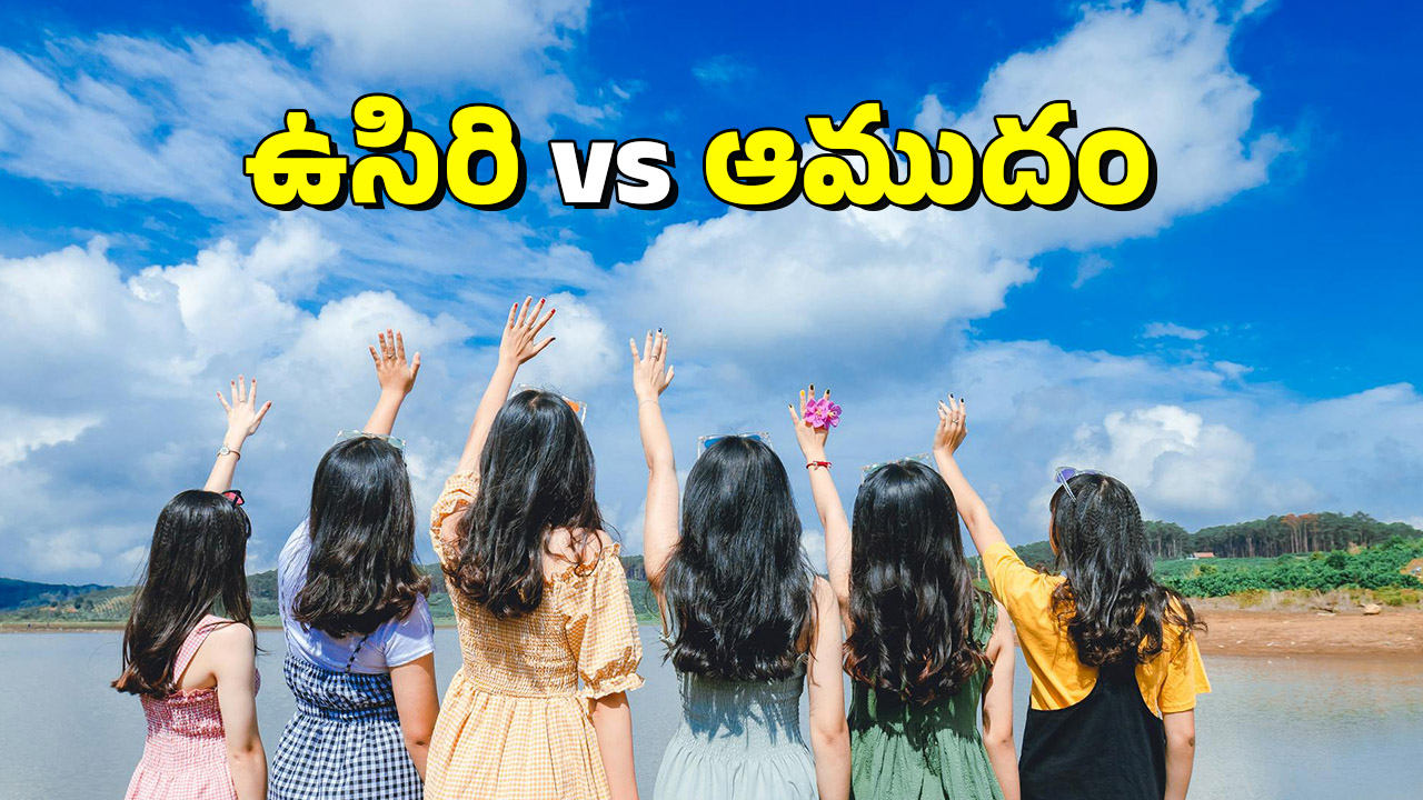 Hair Oils: ఉసిరి నూనె లేదా ఆముదం నూనె.. జుట్టును ఏది వేగంగా పెరిగేలా చేస్తుంది?