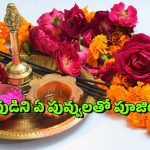 Puja Flowers: మీరు పూజించే దేవతను బట్టి పువ్వులను ఎంపిక చేసుకోవాలి, ఏ దేవతకు ఏ పువ్వులు?