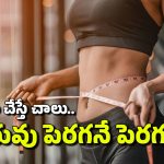 Winter Tips: చలికాలంలో ‘బరువు’ భారం.. జస్ట్ ఇలా చేస్తే ఆ సమస్యే ఉండదు!