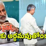 AP Politics: పుల్లలు పెట్టేద్దాం.. విజయసాయి రెడ్డికి ఈ ఐడియా ఇచ్చిందెవరో!