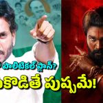 YCP – Pushpa 2 Stampede: ఏపీ రాజకీయాల్లో బన్నీ ఫైరా.. ఫెయిల్యూరా? వైసీపీ కలలు నిజమవుతాయా?