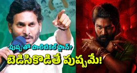 YCP - Pushpa 2 Stampede: ఏపీ రాజకీయాల్లో బన్నీ ఫైరా.. ఫెయిల్యూరా? వైసీపీ కలలు నిజమవుతాయా?