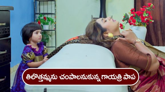 Trinayani Serial Today December 13th: ‘త్రినయని’ సీరియల్‌:  తిలొత్తమ్మ మెడకు ఉరి వేసిన గాయత్రి పాప – తిలొత్తమ్మకు వార్నింగ్‌ ఇచ్చిన నేత్రి  