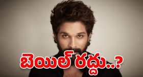 Henna For White Hair: ఈ హెన్నా అప్లై చేశారంటే.. తెల్ల జుట్టు మొత్తం తుమ్మెదలా నల్లగా అవ్వాల్సిందే..!