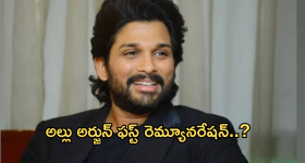 Allu Arjun : అల్లు అర్జున్ ఫస్ట్ మూవీకి రెమ్యునరేషన్ ఎంతో తెలుసా ?