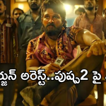 Pushpa 2 Collections : అల్లు అర్జున్ అరెస్టు తర్వాత… పుష్ప 2 కలెక్షన్స్ ఎలా ఉన్నాయంటే..?