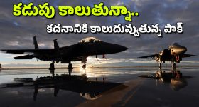 Pakistan stealth Fighter J-35 : తింటానికి తిండే లేదు.. పాక్ కు యుద్ధ విమానాలు కావాలంటే.. 40 ఫైటర్ జెట్ల కొనుగోలుకు రెడీ..