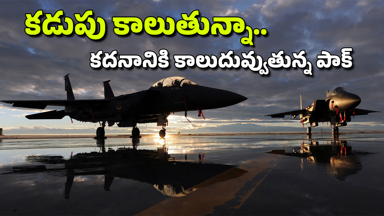 Pakistan stealth Fighter J-35 : తింటానికి తిండే లేదు.. పాక్ కు యుద్ధ విమానాలు కావాలంటే.. 40 ఫైటర్ జెట్ల కొనుగోలుకు రెడీ..