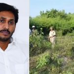 Saraswati Power Lands: కొండను తవ్వి ఎలకను పట్టారా? సరస్వతి పవర్‌ భూములు వెనక్కి, అసలు ట్విస్ట్ ఇదే!