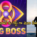 Bigg Boss 8 Telugu : బిగ్ బాస్ సీజన్ 8 తెలుగు షోకు గెస్టుగా మెగా హీరో.. ఫ్యాన్స్ కు పండగే..