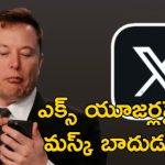 Twitter X Premium : ప్రీమియం ప్లస్ ప్లాన్ సబ్‌స్క్రైబర్లకు షాకిచ్చిన ఎక్స్.. మస్క్ అంటేనే పక్కా కమర్షియల్ మరి!