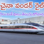 China’s Fastest Train : ప్రపంచంలోనే అత్యధిక వేగవంతమైన చైనా బుల్లెట్ ట్రైన్.. దీని వేగం ఎంతో తెలుసా?