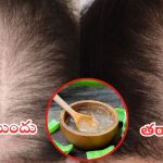 Hair Fall: జుట్టు రాలుతోందా ? వీటిని వాడితే.. అస్సలు రాలదు
