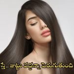 Long Hair Tips: ఇలా చేస్తే.. వద్దన్నా జుట్టు పెరుగుతుంది తెలుసా ?