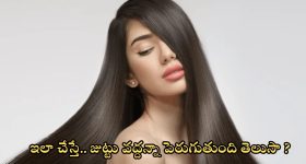Long Hair Tips: ఇలా చేస్తే.. వద్దన్నా జుట్టు పెరుగుతుంది తెలుసా ?