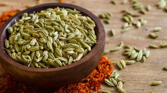 Fennel Seeds: సోంపు తింటే.. మతిపోయే లాభాలు !