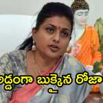Case on Roja : మంత్రి రోజాపై ఎస్సీ, ఎస్టీ అట్రాసిటీ కేసు..