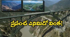 Sama Ram Mohan reddy: కేసీఆర్ ను టార్గెట్ చేస్తున్న కేటీఆర్.. అలా అనొద్దు ప్లీజ్.. సామా రామ్మోహన్ రెడ్డి