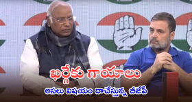 Formula E Race Case: ఫార్ములా ఈ - రేస్‌ కేసులో బీఎల్ఎన్ రెడ్డి.. అసలు ఈయనెవరు? బిగ్ టీవీ - స్వేచ్ఛ ఎక్స్‌క్లూజివ్!
