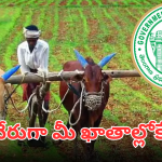 Rythu Bharosa : రైతన్నలకు సంక్రాంతి కానుక.. రైతు భరోసా డబ్బులు జమ ఎప్పుడంటే?