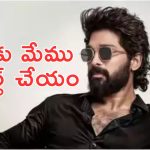 All India Allu Arjun Fans & Welfare Association : వాళ్ల ఇంటర్వ్యూస్ తో మాకు సంబంధాలు లేవు
