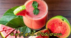 Guava Juice: జామకాయ జ్యూస్ త్రాగితే.. ఎన్ని లాభాలో తెలుసా ?