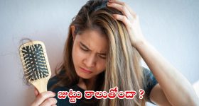 Hair Loss: జుట్టు రాలుతోందా ? ఇలా చేస్తే.. ప్రాబ్లమ్ సాల్వ్