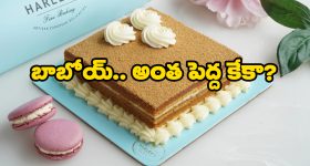 Harley Honey Cake: 3 టన్నుల హనీ కేక్, రికార్డులు బద్దలు కావాల్సిందే!