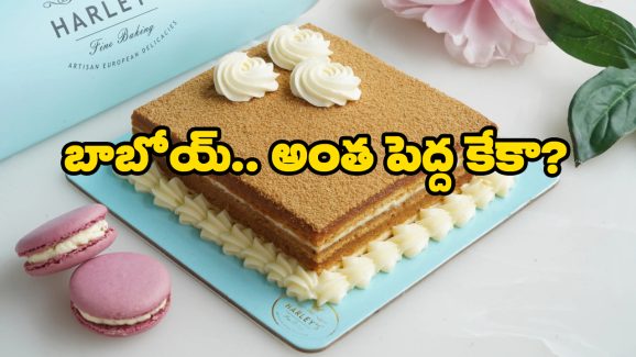 Harley Honey Cake: 3 టన్నుల హనీ కేక్, రికార్డులు బద్దలు కావాల్సిందే!