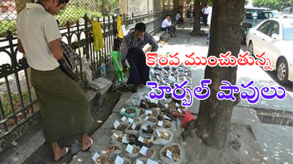 Warangal District : రోడ్డు పక్కన ఆయుర్వేదం మందులు కొంటున్నారా.. అయితే ఈ మహిళ గురించి తెలుసుకోండి.