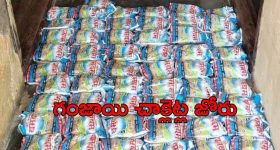 Ganja Chocolates Seized: జోరుగా గంజాయి చాక్లెట్ల వ్యాపారం.. 13 కేజీల సీజ్