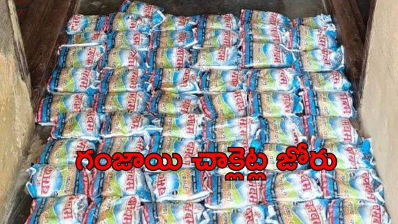 Ganja Chocolates Seized: జోరుగా గంజాయి చాక్లెట్ల వ్యాపారం.. 13 కేజీల సీజ్