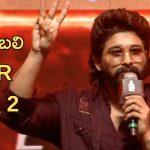 Allu Arjun : బాహుబలి, RRR ని మన తెలుగు సినిమా  అని ఎంత గర్వించామో, ఇప్పుడు పుష్పకి కూడా అంతే గర్విస్తాం