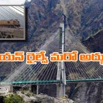 Indian Railways: కేబుల్ బ్రిడ్జిపై రైలు.. చరిత్రలో ఇదే తొలిసారి, వీడియో చూస్తే మైండ్ బ్లాకే!