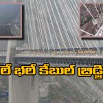India’s Cable-Stayed Bridge: అంజి ఖాడ్ కేబుల్ బ్రిడ్జిపై రైల్వే లోడ్ టెస్ట్, వీడియో చూస్తే వావ్ అనాల్సిందే!