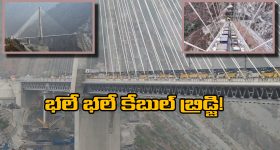 TTD News: కొత్త ఏడాదిలో తిరుమలకు వెళ్తున్నారా.. దర్శనంతో పాటు ఈ భాగ్యం కూడా పొందండి!