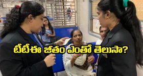 Indian Railway TTE: రైల్వే TTE కావాలంటే.. ఎంత వరకు చదువుకోవాలి? ఏ ఎగ్జామ్ రాయాలో తెలుసా?