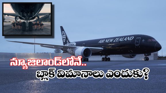 Aeroplanes – Air New Zealand: విమానాలకు ఎక్కువగా వైట్ కలర్ ఎందుకేస్తారు? న్యూజిలాండ్‌లో మాత్రం నల్ల రంగు ఎందుకు?