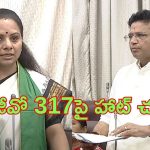Sridhar Babu on Kavitha: 317 జీవోపై చర్చ.. సొల్యూషన్ కావాలి.. 12 సార్లు భేటీ ఆపై