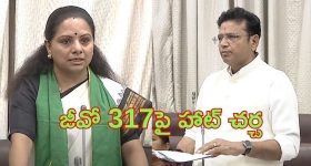 Sridhar Babu on Kavitha: 317 జీవోపై చర్చ.. సొల్యూషన్ కావాలి.. 12 సార్లు భేటీ ఆపై
