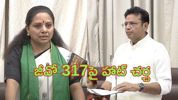 Sridhar Babu on Kavitha: 317 జీవోపై చర్చ.. సొల్యూషన్ కావాలి.. 12 సార్లు భేటీ ఆపై