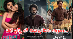 Most Watched Movies 2024 : నెట్ ఫ్లిక్స్ లో కాసుల వర్షం కురిపించిన టాలీవుడ్ మూవీస్..
